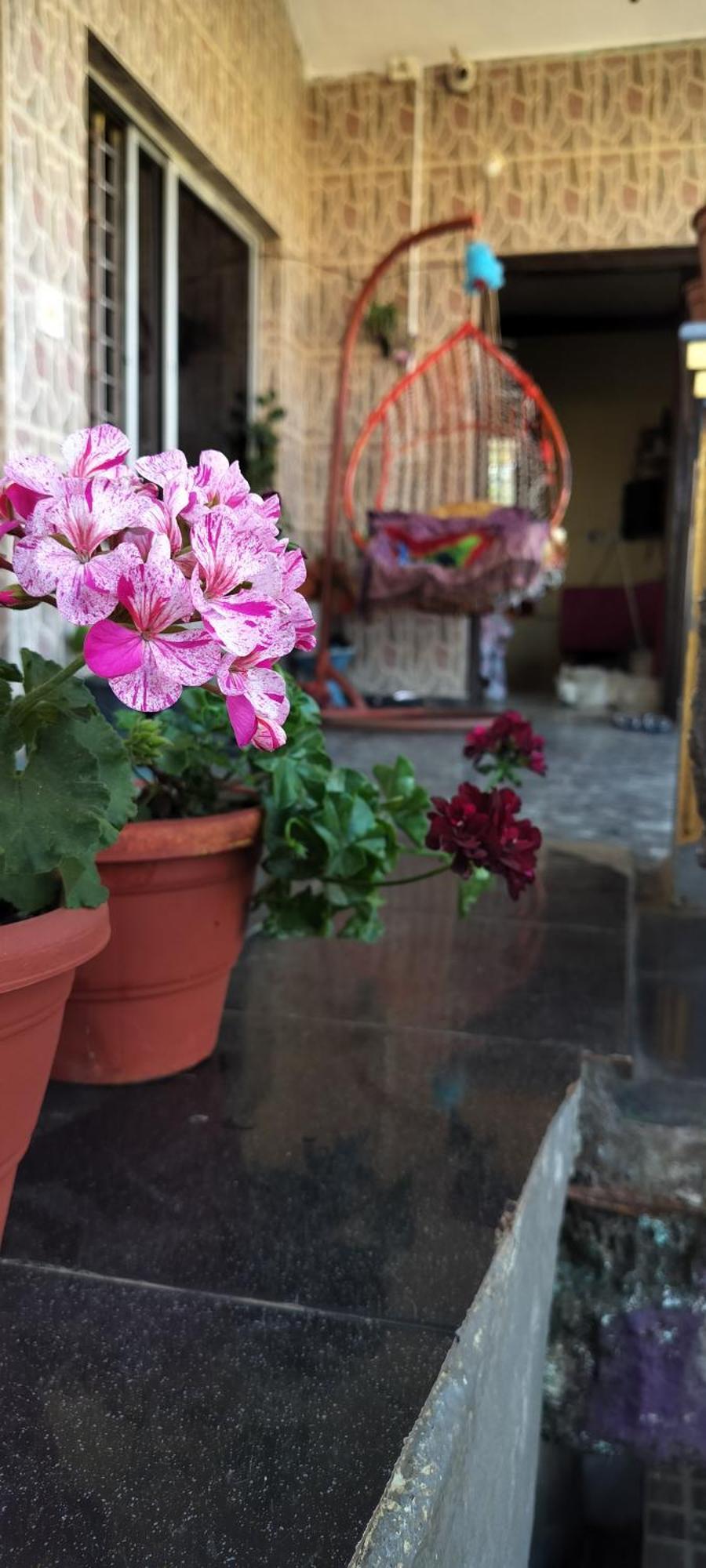 Royal Palm Homestay Madikeri Exteriör bild