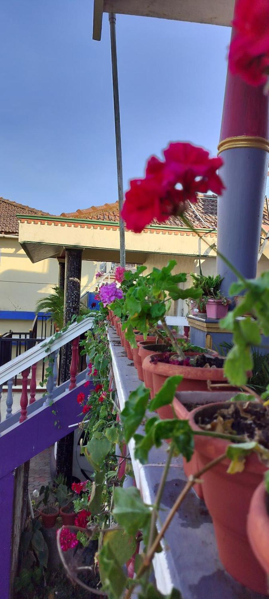 Royal Palm Homestay Madikeri Exteriör bild
