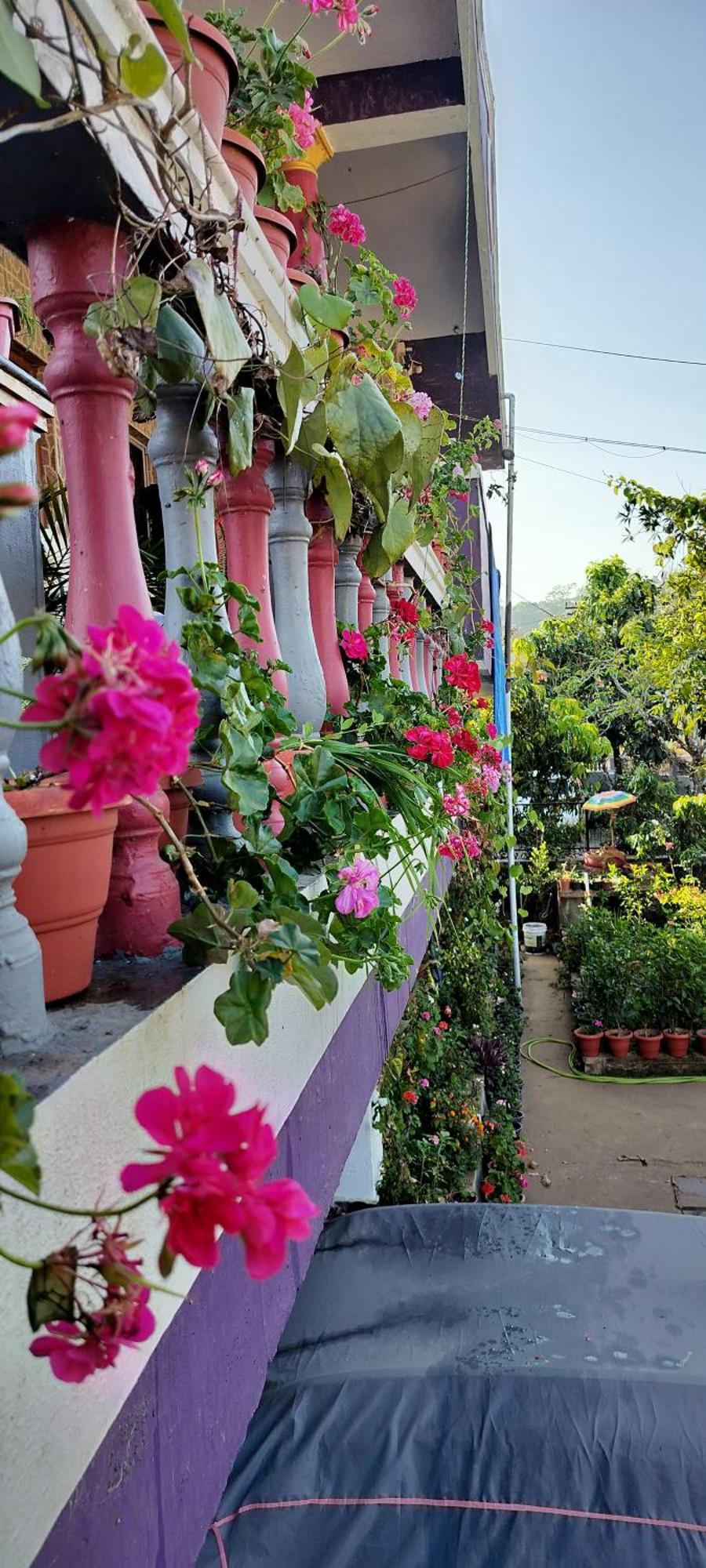 Royal Palm Homestay Madikeri Exteriör bild