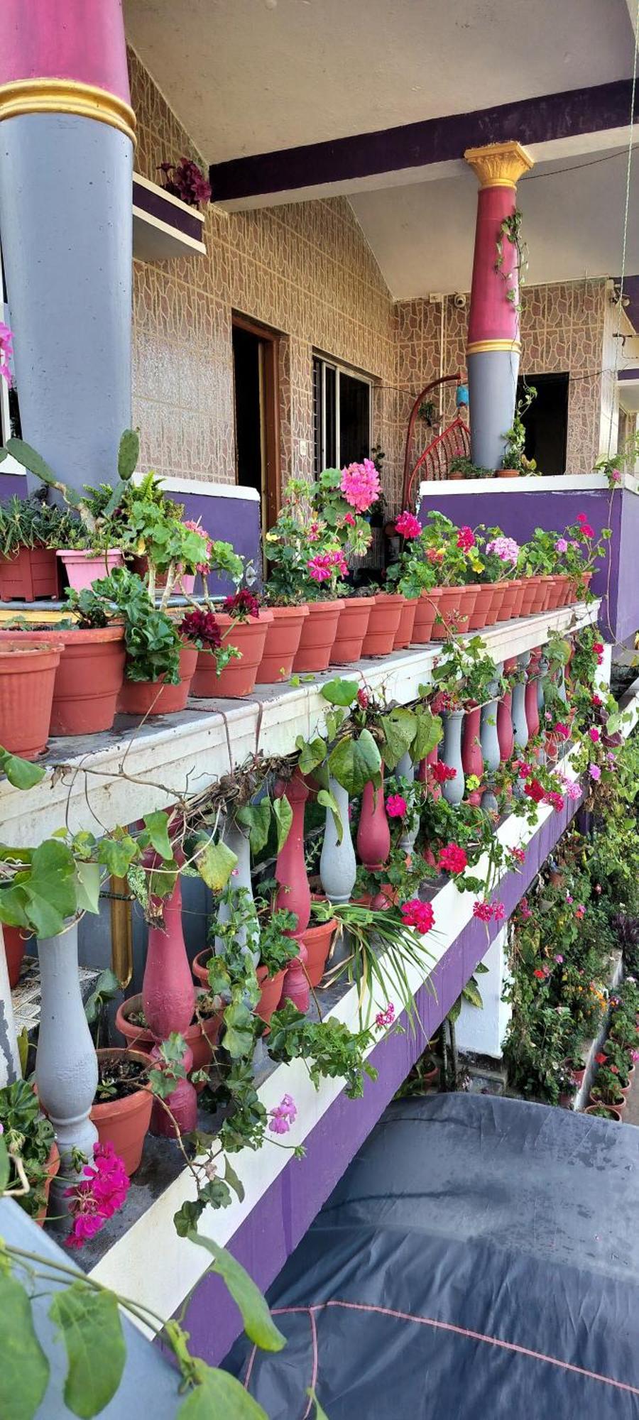 Royal Palm Homestay Madikeri Exteriör bild